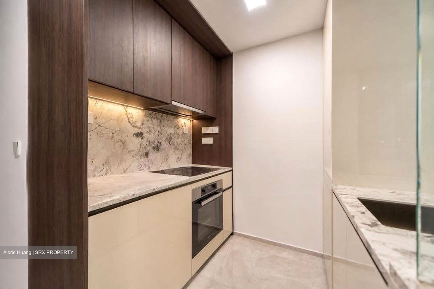 Tembusu Grand (D15), Condominium #616956041